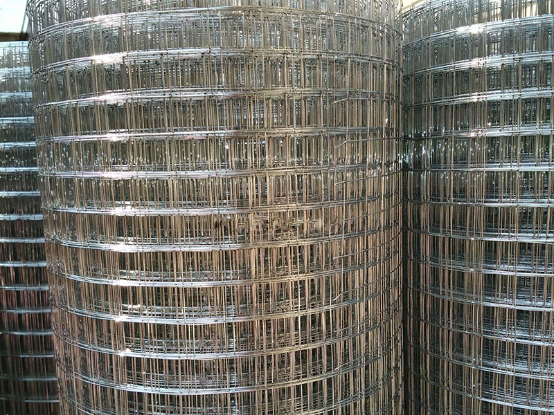 護墻電焊網(wǎng)